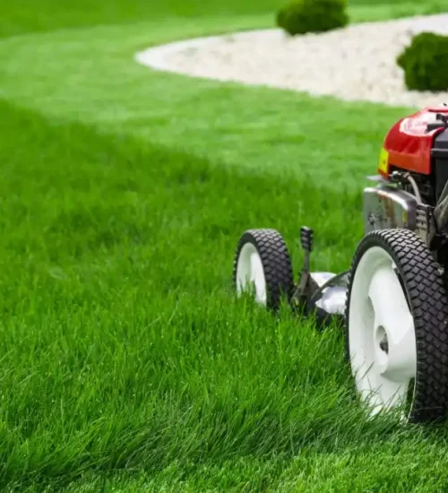 Mowing